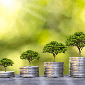 Investimento Sustentável: Guia para Iniciantes