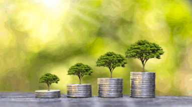 Investimento Sustentável: Guia para Iniciantes