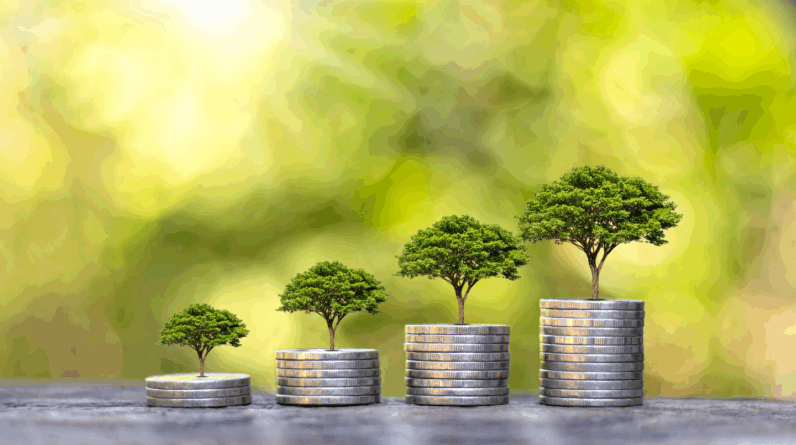 Investimento Sustentável: Guia para Iniciantes